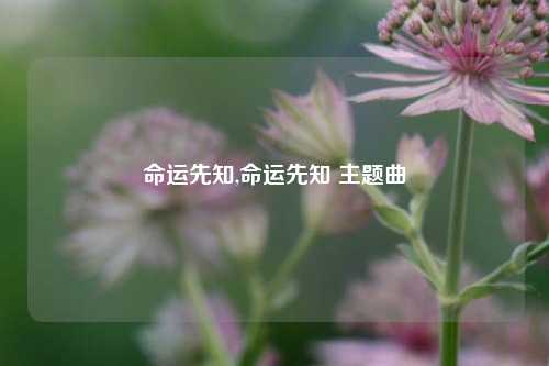 命运先知,命运先知 主题曲