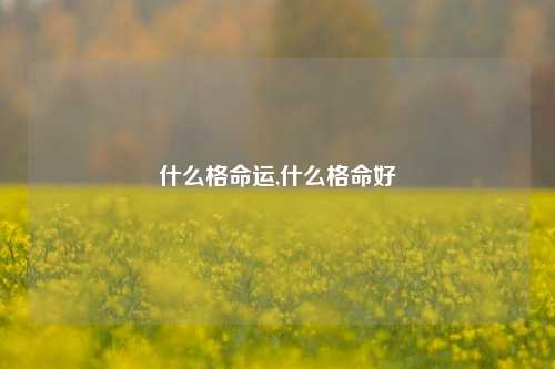 什么格命运,什么格命好