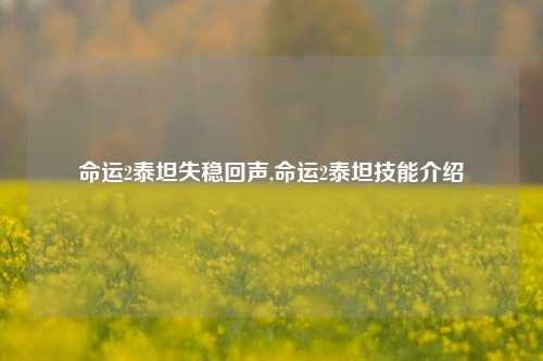 命运2泰坦失稳回声,命运2泰坦技能介绍