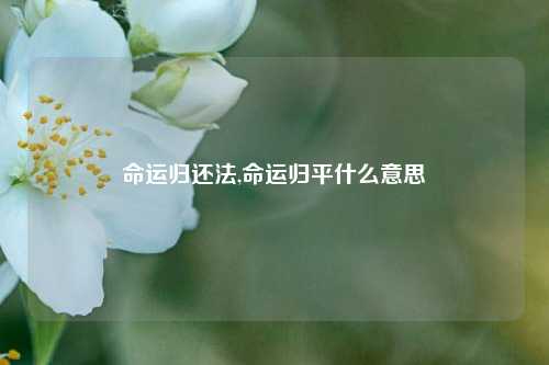 命运归还法,命运归平什么意思