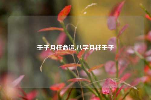 壬子月柱命运,八字月柱壬子