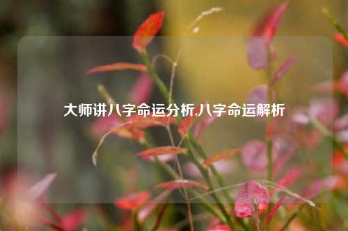 大师讲八字命运分析,八字命运解析