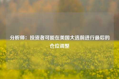 分析师：投资者可能在美国大选前进行最后的仓位调整