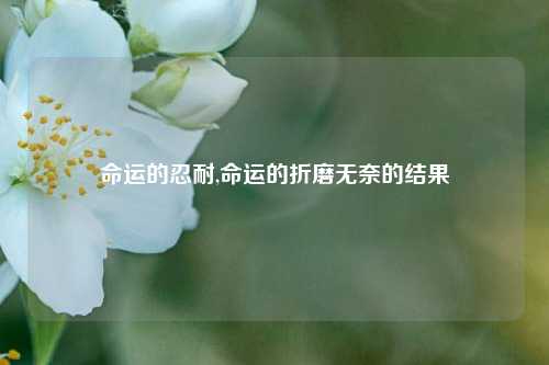 命运的忍耐,命运的折磨无奈的结果