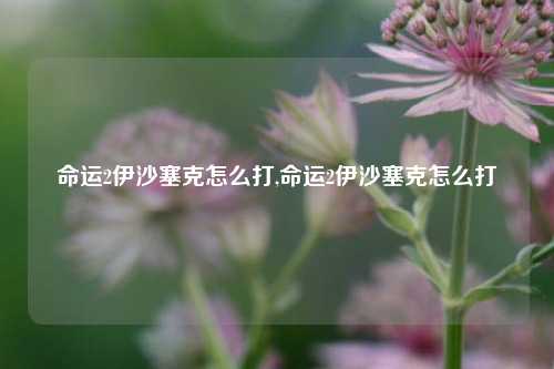 命运2伊沙塞克怎么打,命运2伊沙塞克怎么打