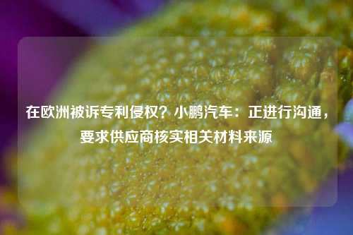 在欧洲被诉专利侵权？小鹏汽车：正进行沟通，要求供应商核实相关材料来源