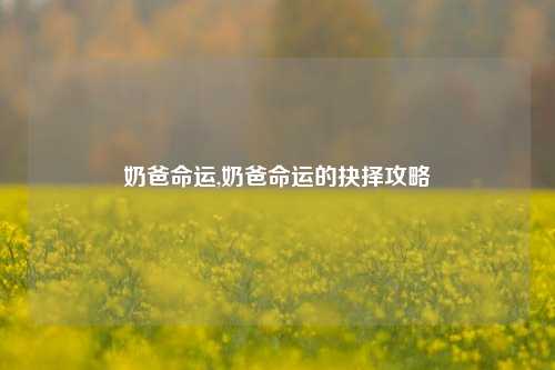 奶爸命运,奶爸命运的抉择攻略