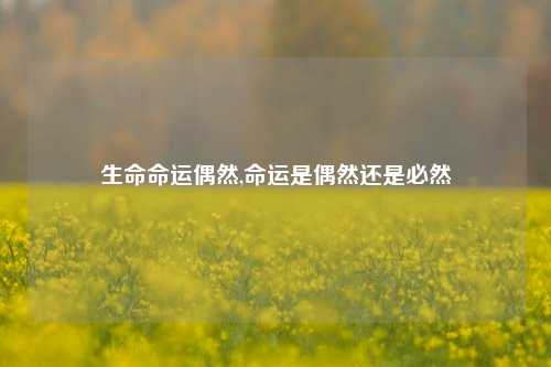 生命命运偶然,命运是偶然还是必然