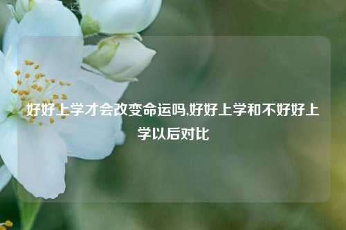 好好上学才会改变命运吗,好好上学和不好好上学以后对比