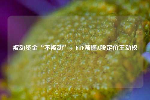 被动资金“不被动”，ETF渐握A股定价主动权