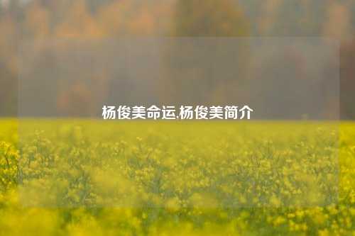 杨俊美命运,杨俊美简介