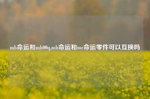 mb命运和mb00q,mb命运和mc命运零件可以互换吗