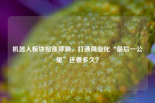 机器人板块掀涨停潮，打通商业化“最后一公里”还要多久？