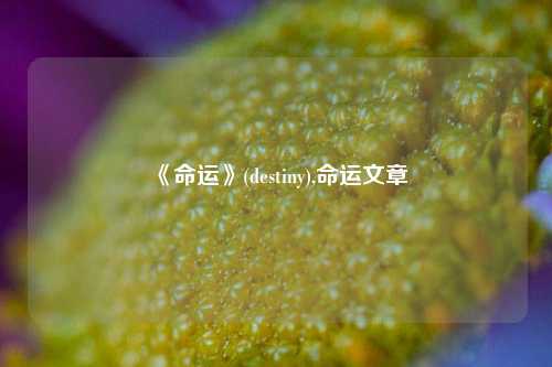 《命运》(destiny),命运文章