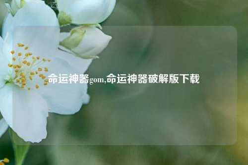 命运神器gom,命运神器破解版下载