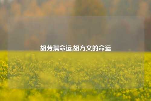 胡芳琪命运,胡方文的命运