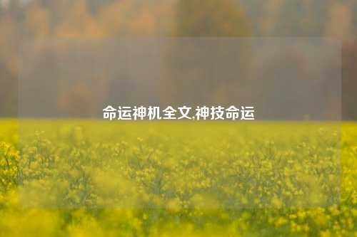 命运神机全文,神技命运