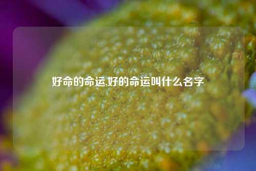 好命的命运,好的命运叫什么名字