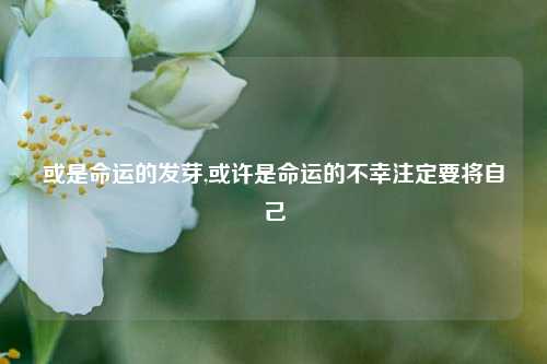 或是命运的发芽,或许是命运的不幸注定要将自己