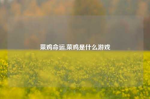 菜鸡命运,菜鸡是什么游戏