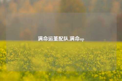 满命运堇配队,满命up