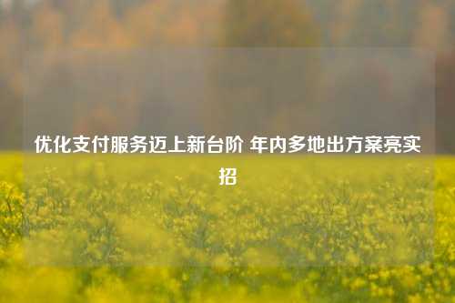 优化支付服务迈上新台阶 年内多地出方案亮实招