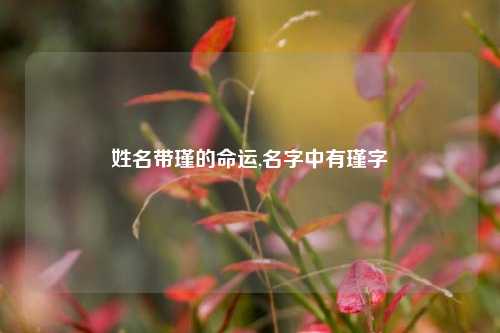 姓名带瑾的命运,名字中有瑾字