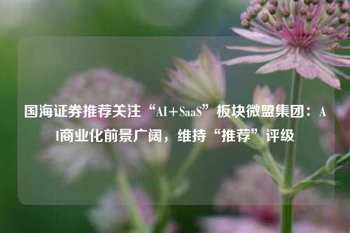 国海证券推荐关注“AI+SaaS”板块微盟集团：AI商业化前景广阔，维持“推荐”评级