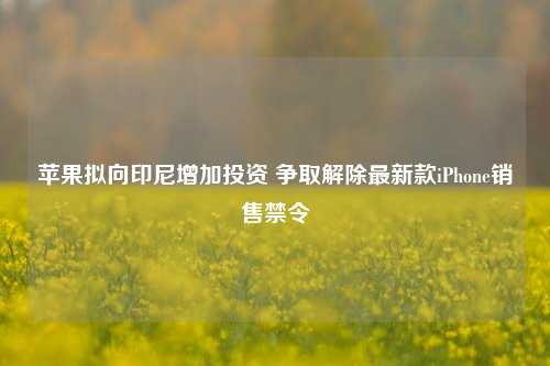 苹果拟向印尼增加投资 争取解除最新款iPhone销售禁令