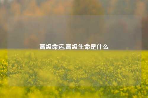 高级命运,高级生命是什么