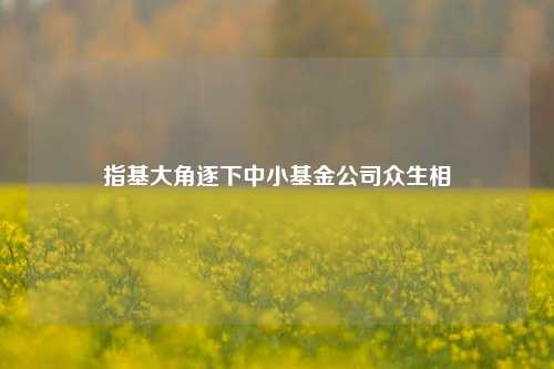 指基大角逐下中小基金公司众生相