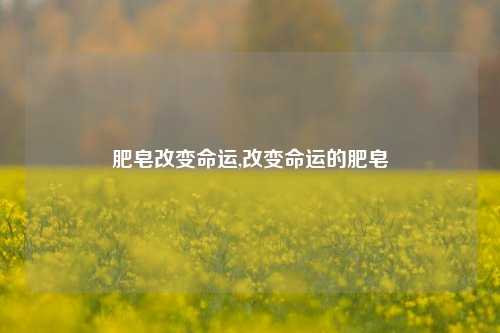 肥皂改变命运,改变命运的肥皂