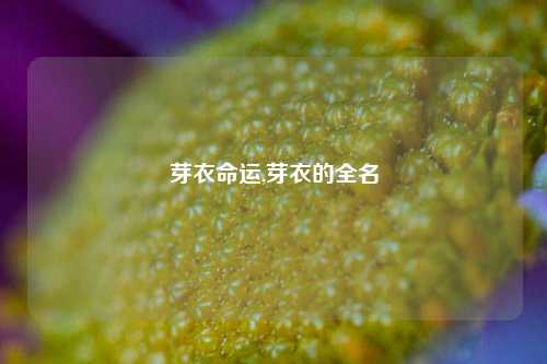 芽衣命运,芽衣的全名