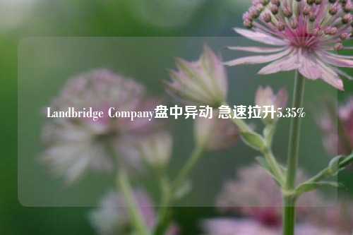 Landbridge Company盘中异动 急速拉升5.35%