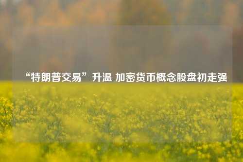 “特朗普交易”升温 加密货币概念股盘初走强