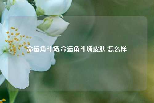 命运角斗场,命运角斗场皮肤 怎么样