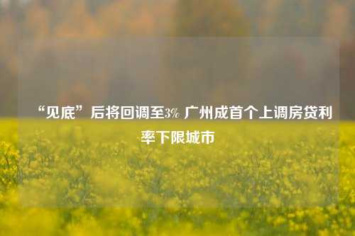 “见底”后将回调至3% 广州成首个上调房贷利率下限城市