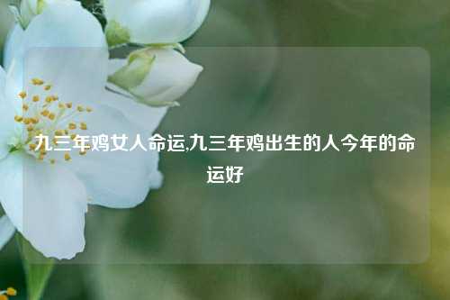 九三年鸡女人命运,九三年鸡出生的人今年的命运好