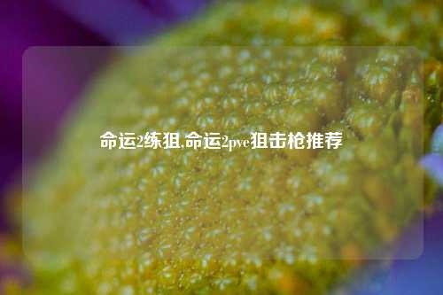 命运2练狙,命运2pve狙击枪推荐