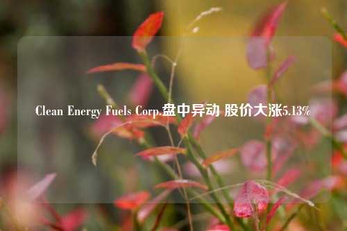 Clean Energy Fuels Corp.盘中异动 股价大涨5.13%