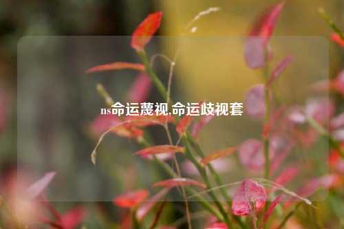 ns命运蔑视,命运歧视套