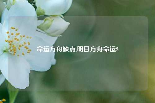 命运方舟缺点,明日方舟命运2