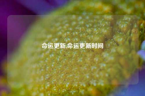 命运更新,命运更新时间