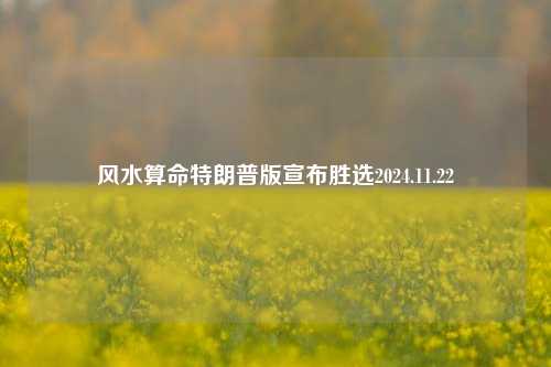 风水算命特朗普版宣布胜选2024.11.22