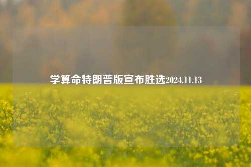 学算命特朗普版宣布胜选2024.11.13