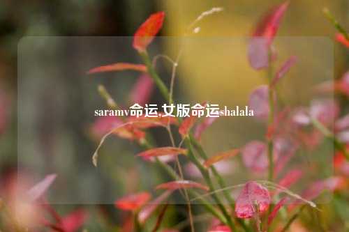 saramv命运,女版命运shalala