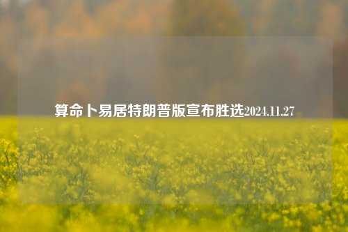 算命卜易居特朗普版宣布胜选2024.11.27