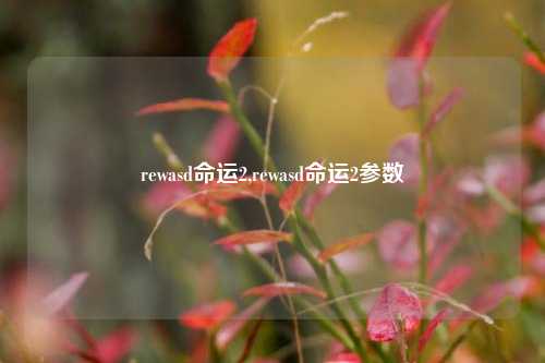 rewasd命运2,rewasd命运2参数