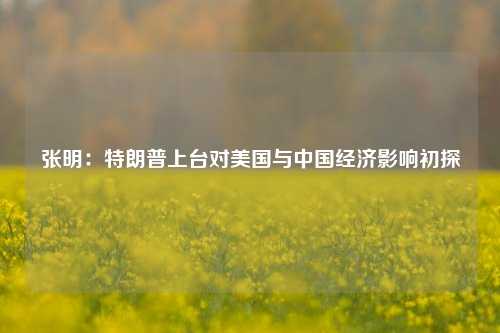 张明：特朗普上台对美国与中国经济影响初探