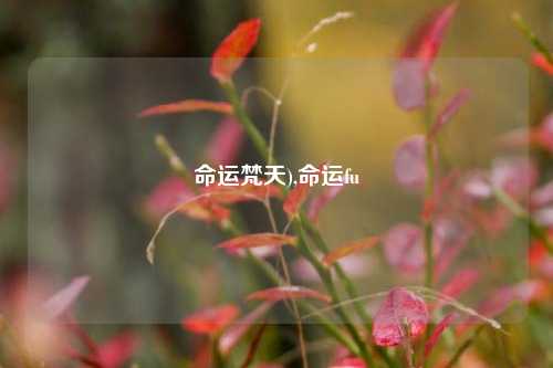 命运梵天),命运fu